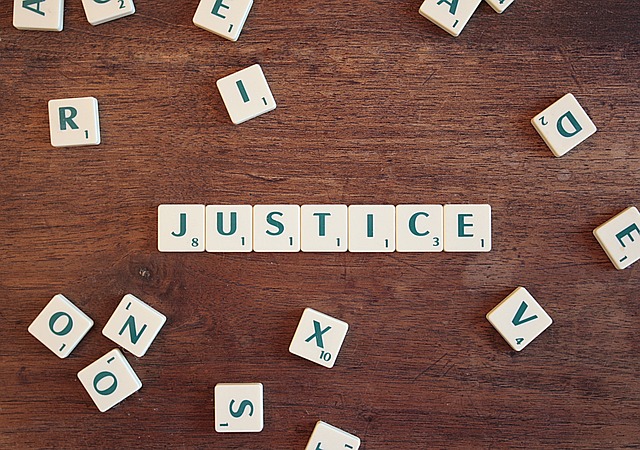Les évolutions de la jurisprudence française